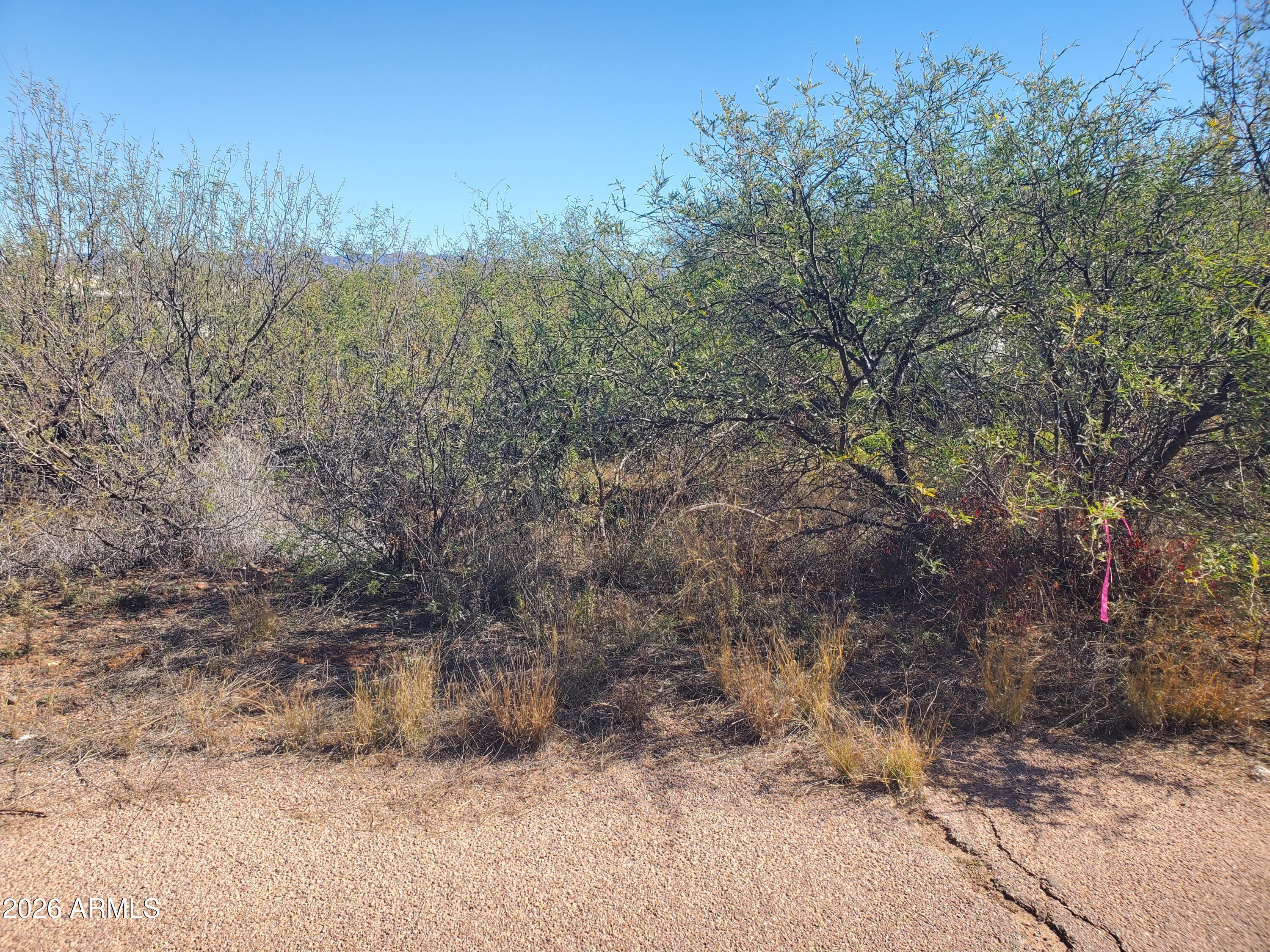 RIO RICO ESTATES 11 - Land