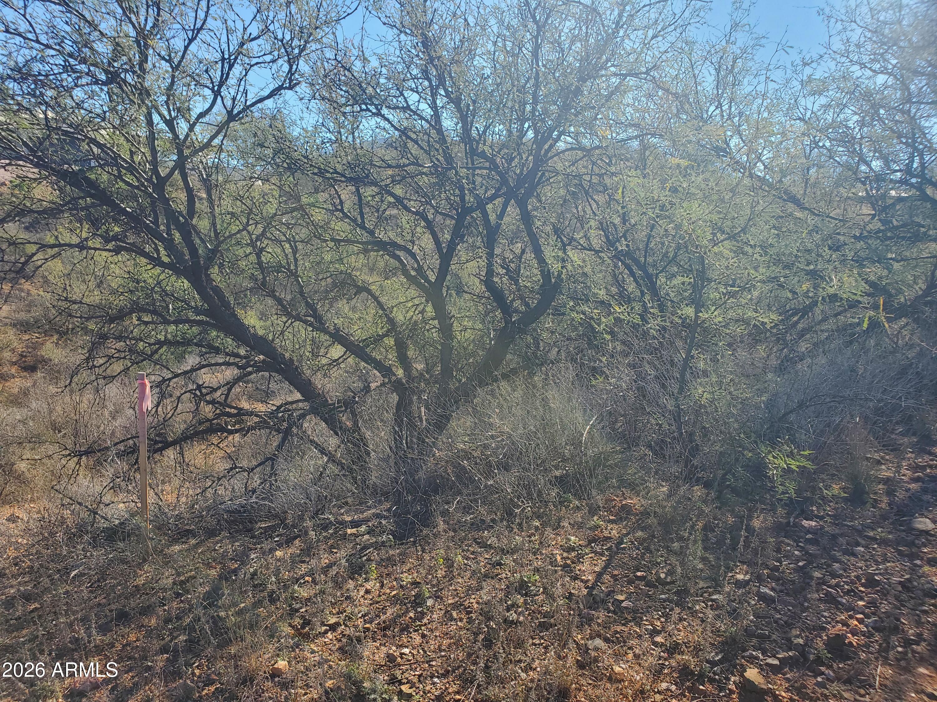 RIO RICO ESTATES 11 - Land