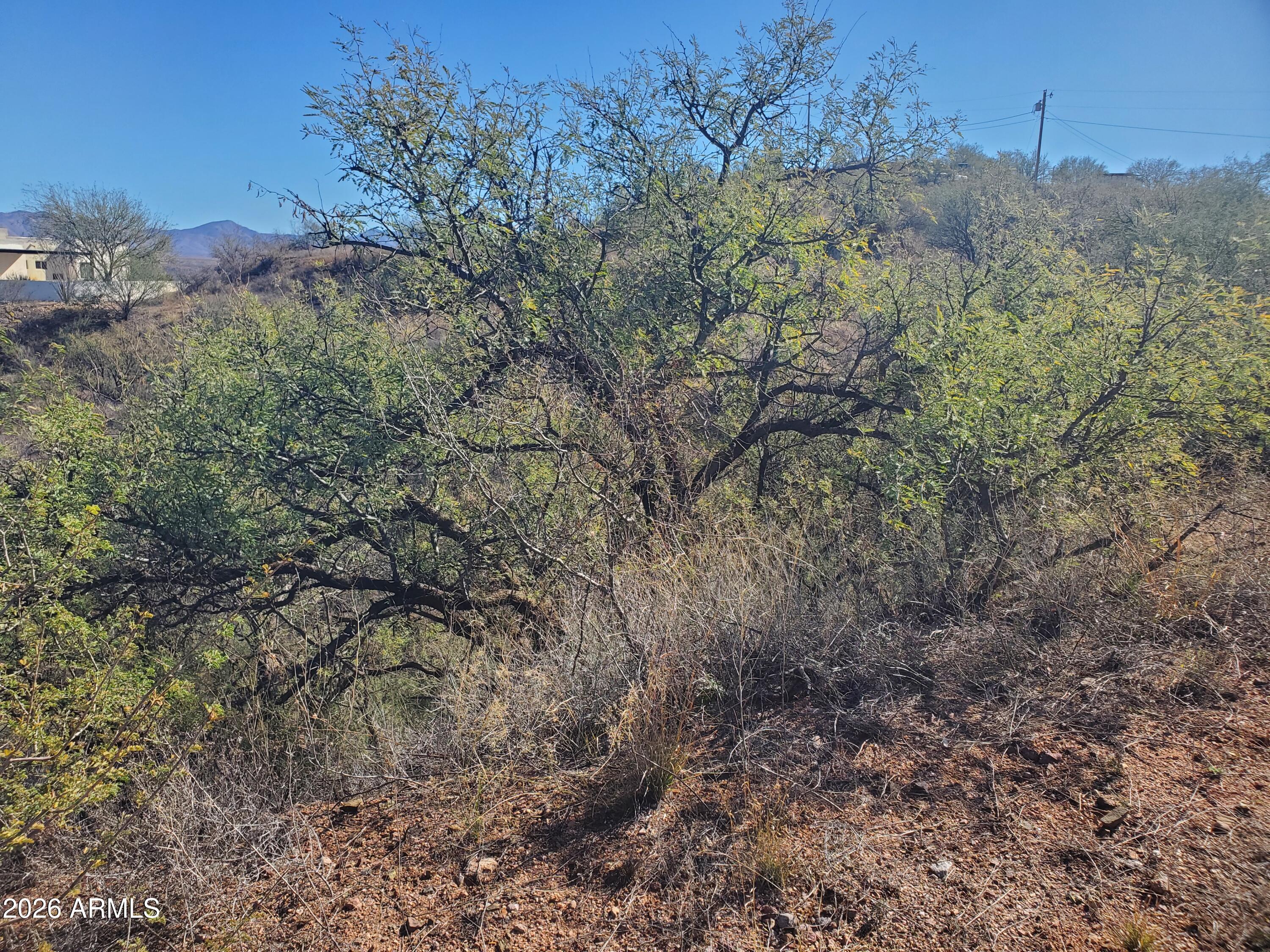 RIO RICO ESTATES 11 - Land