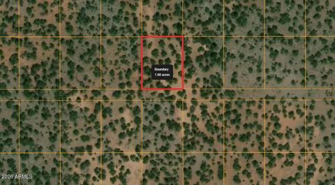 731 E SNOWDRIFT Road 248 Williams AZ 86046