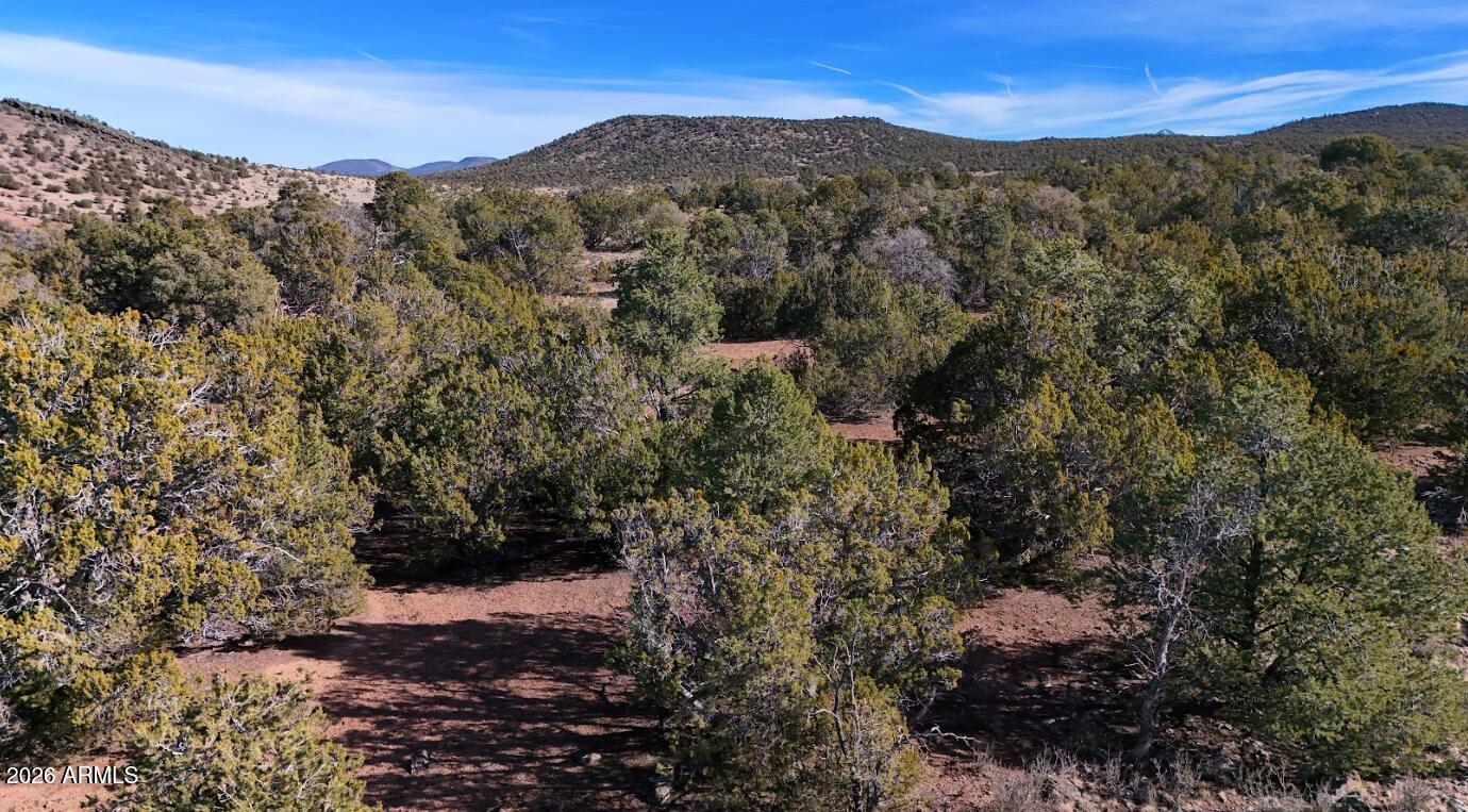 KAIBAB HIGH 2 - Land
