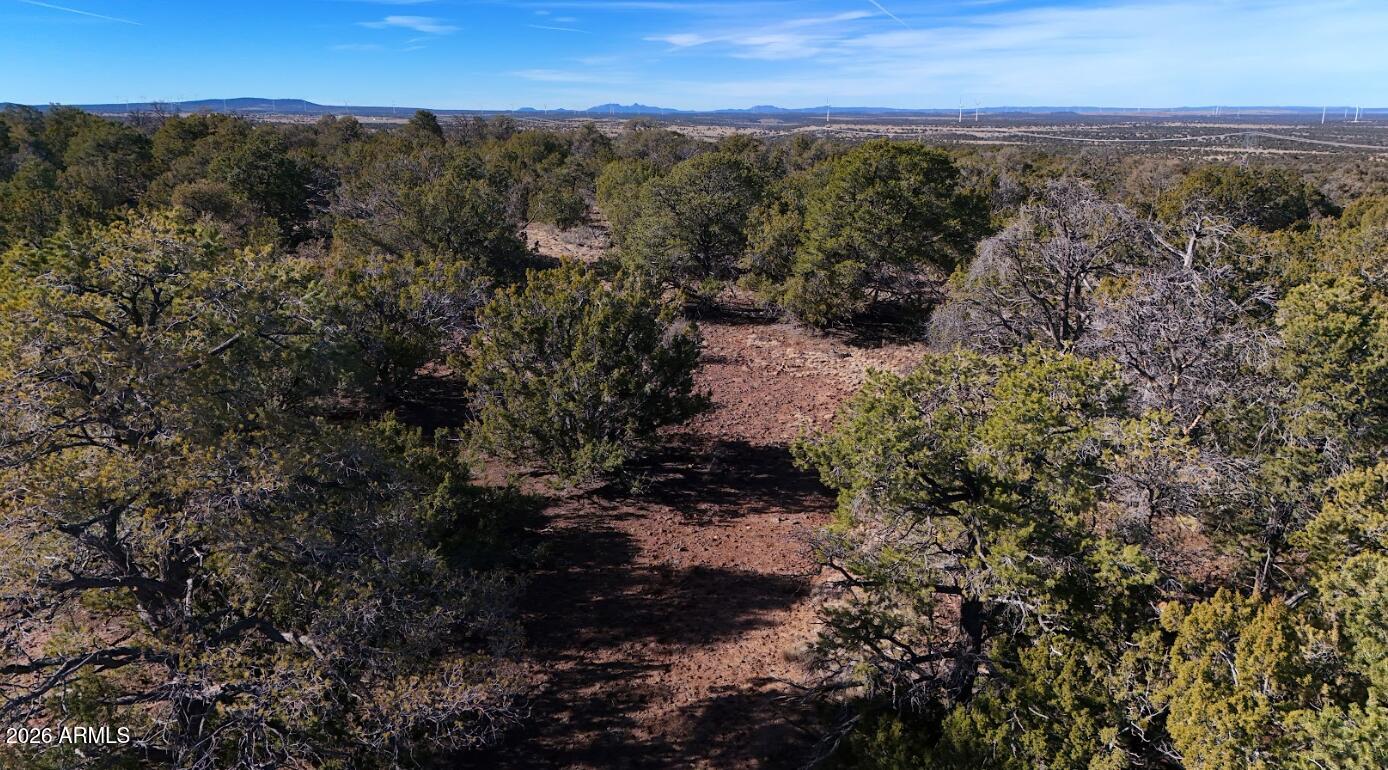 KAIBAB HIGH 2 - Land