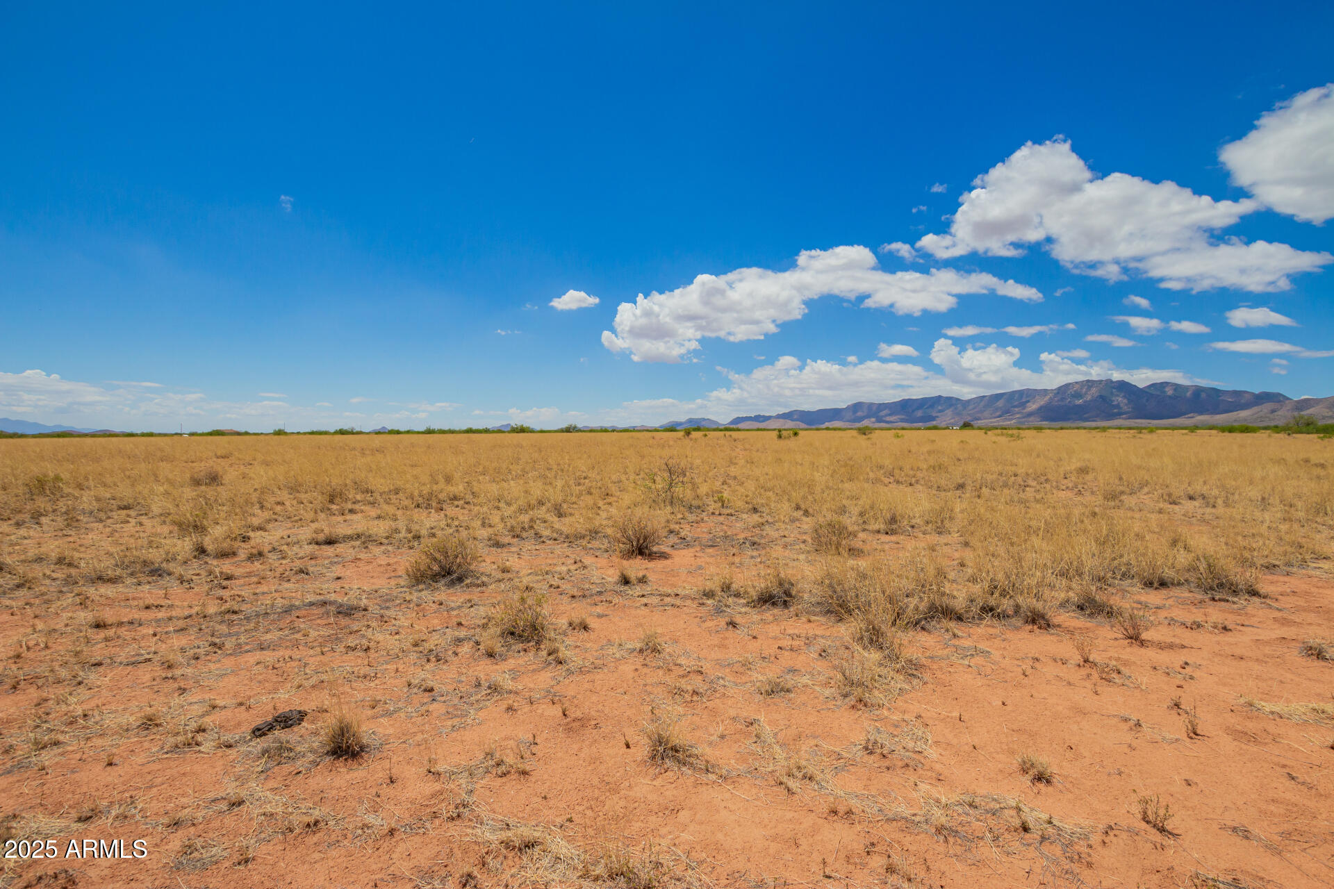 XXXX Orange St Street 7