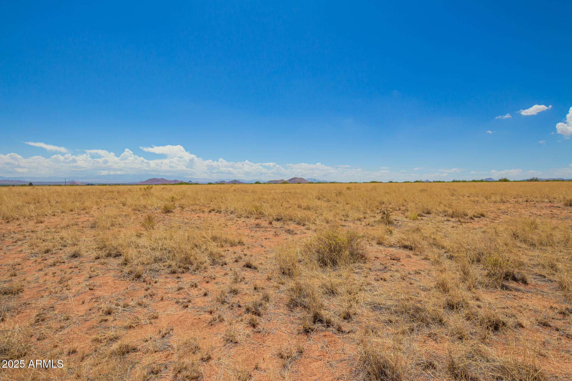 XXXX Orange St Street 7