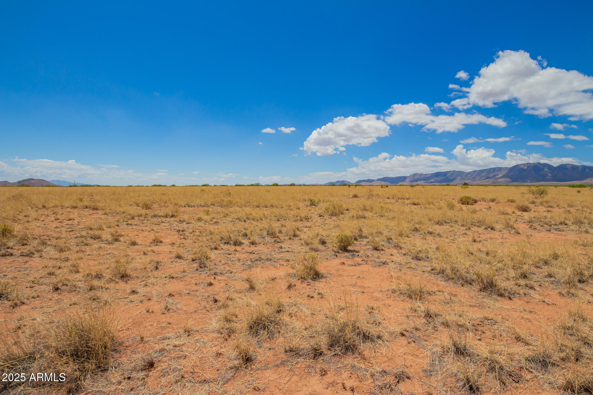 XXXX Orange St Street 7