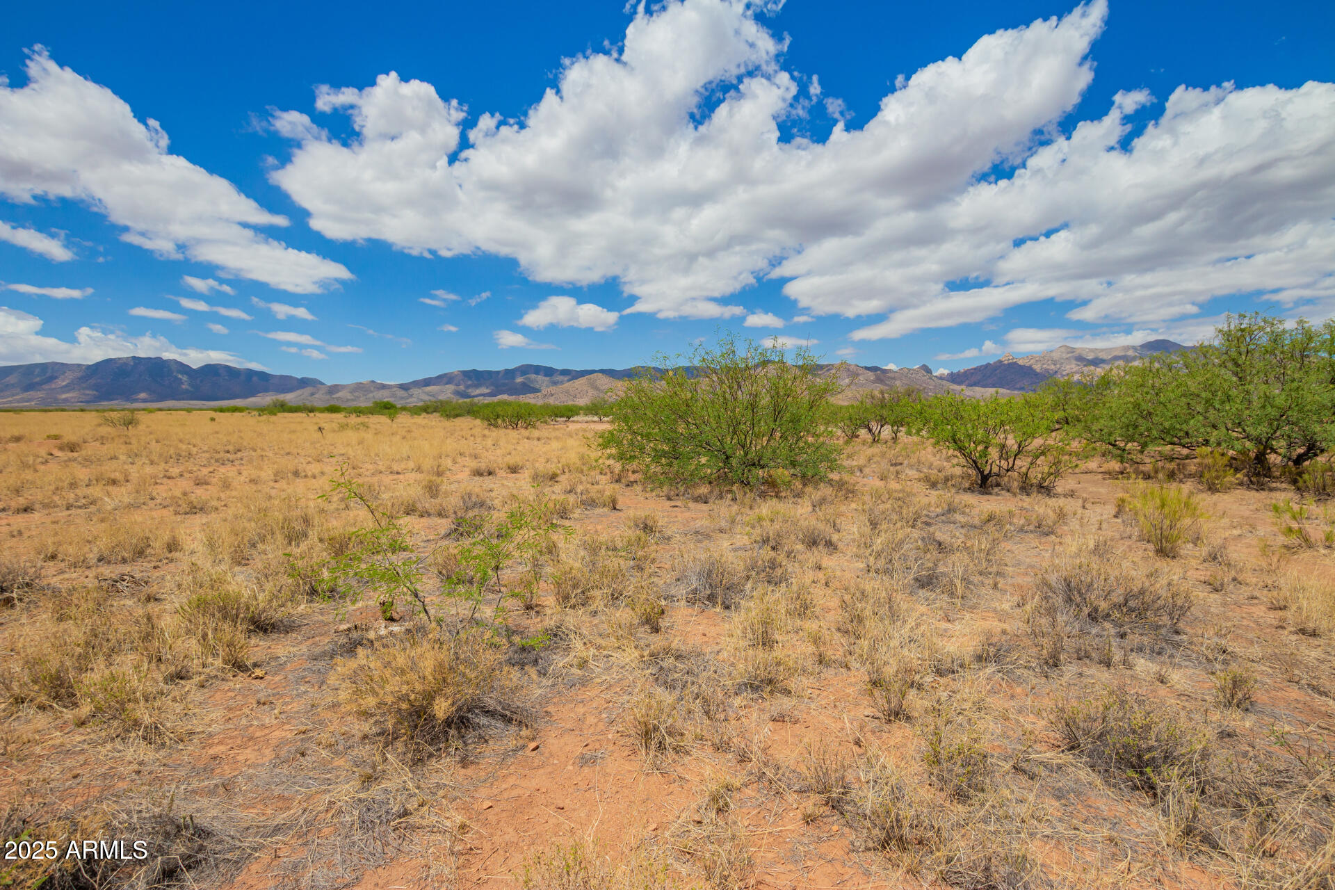 XXXX Orange St Street 7