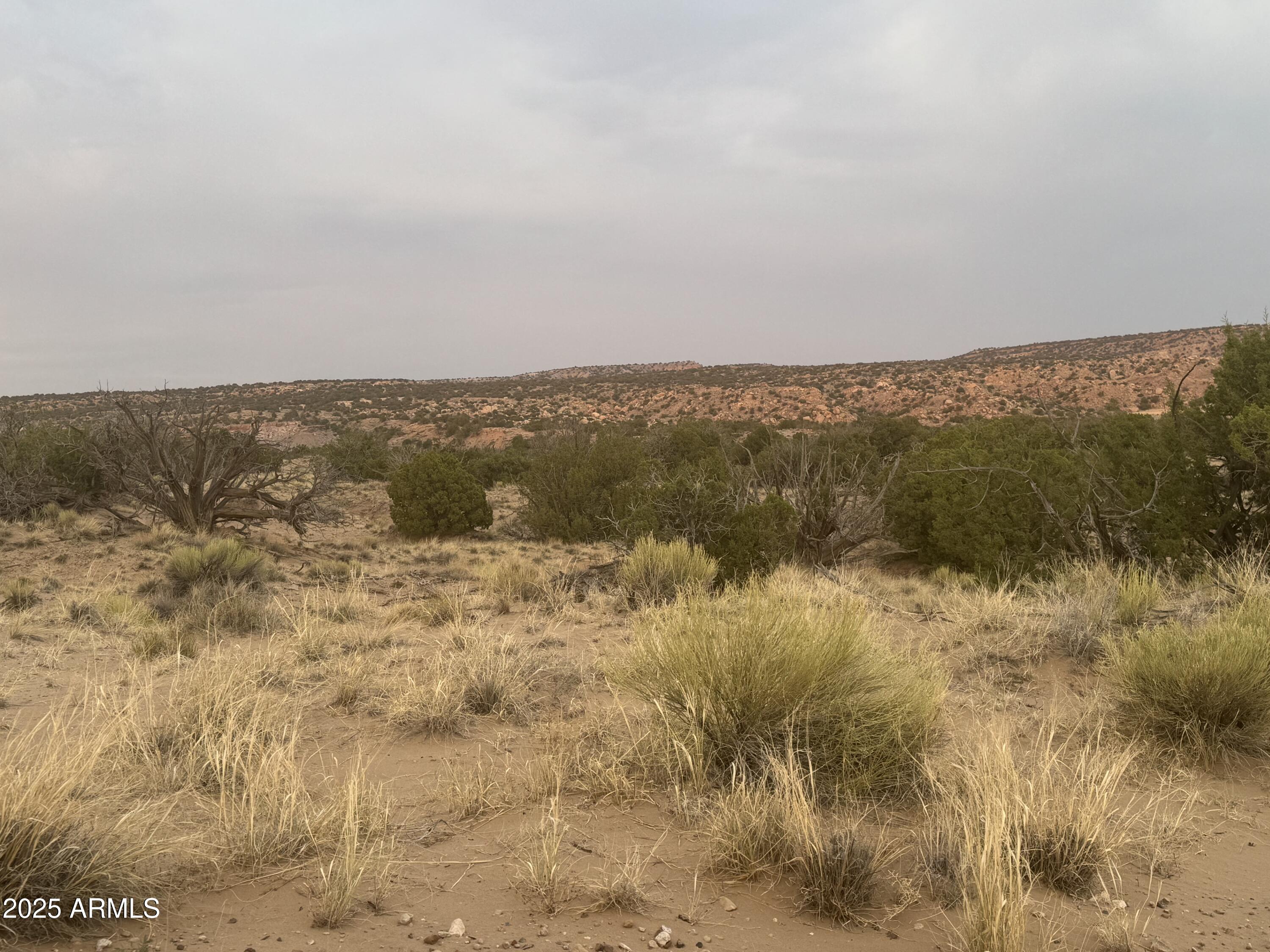 Lot 1041 Woodland Valley Ranch -- 1041