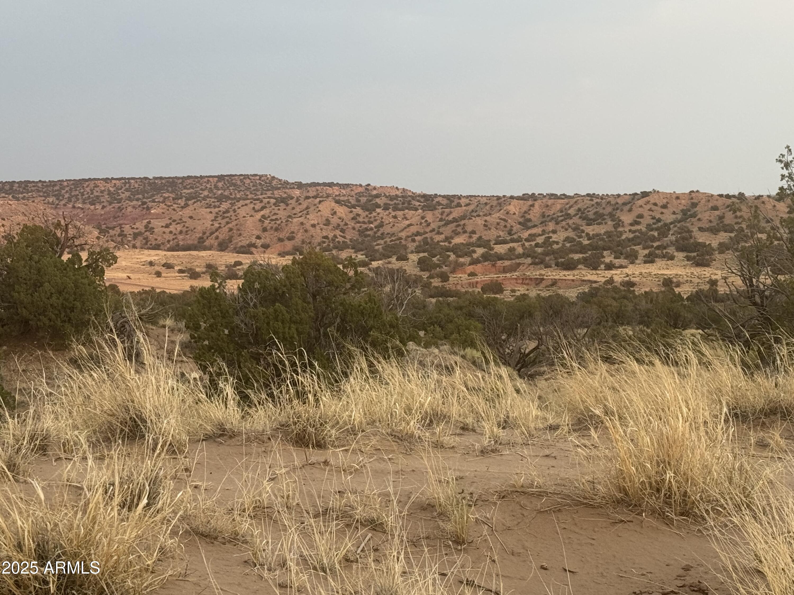 Lot 1041 Woodland Valley Ranch -- 1041