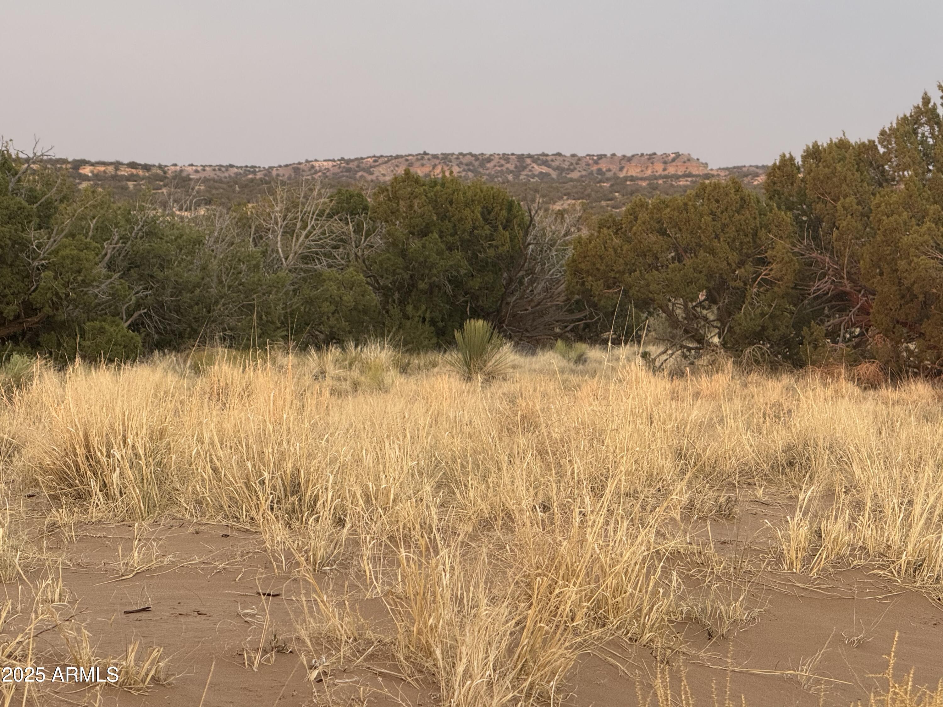 Lot 1041 Woodland Valley Ranch -- 1041