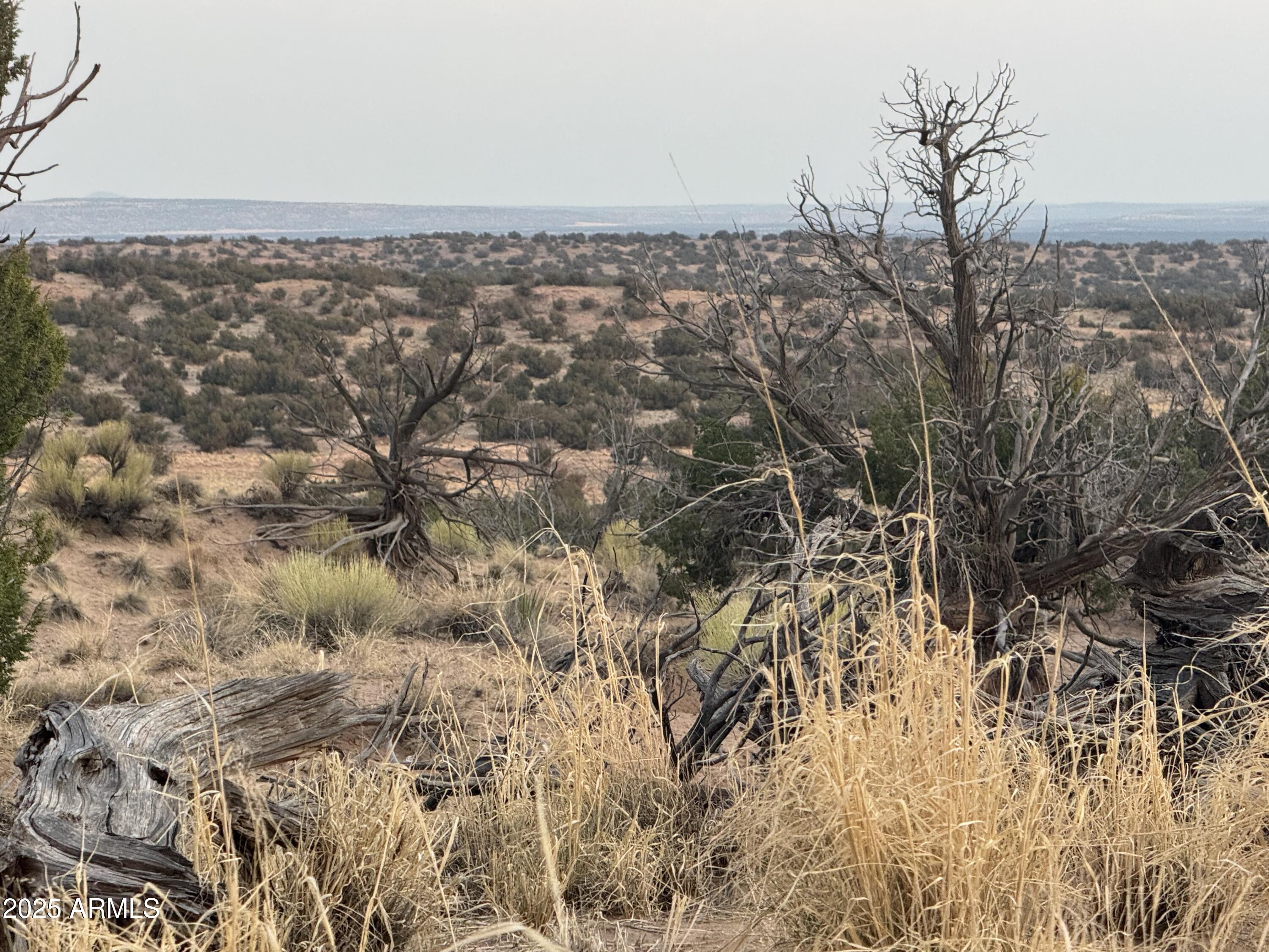 Lot 1041 Woodland Valley Ranch -- 1041