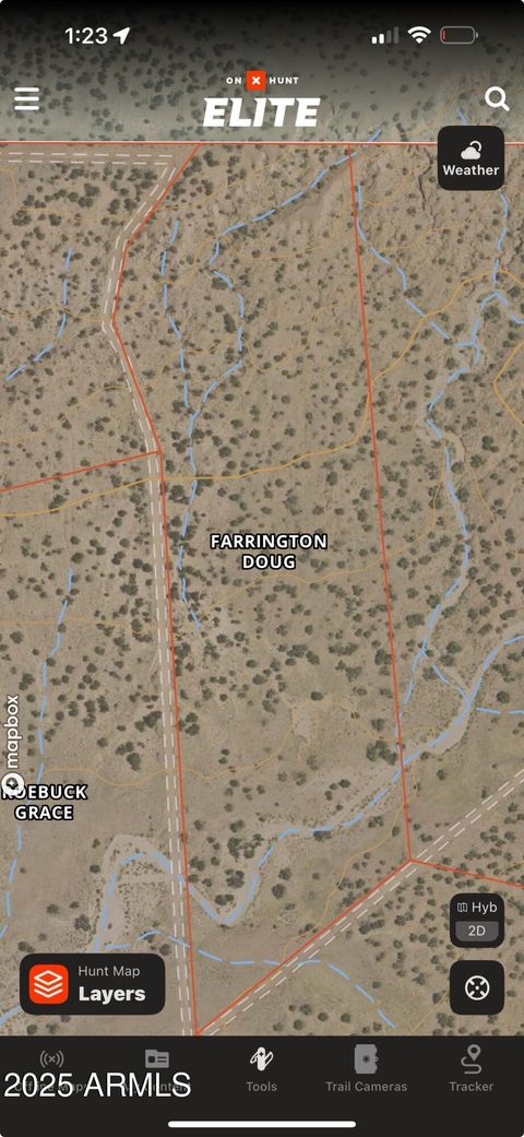 Lot 1041 Woodland Valley Ranch -- 1041 St Johns AZ 85936