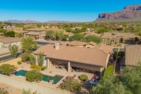 8531 E TWISTED LEAF Drive Gold Canyon AZ 85118