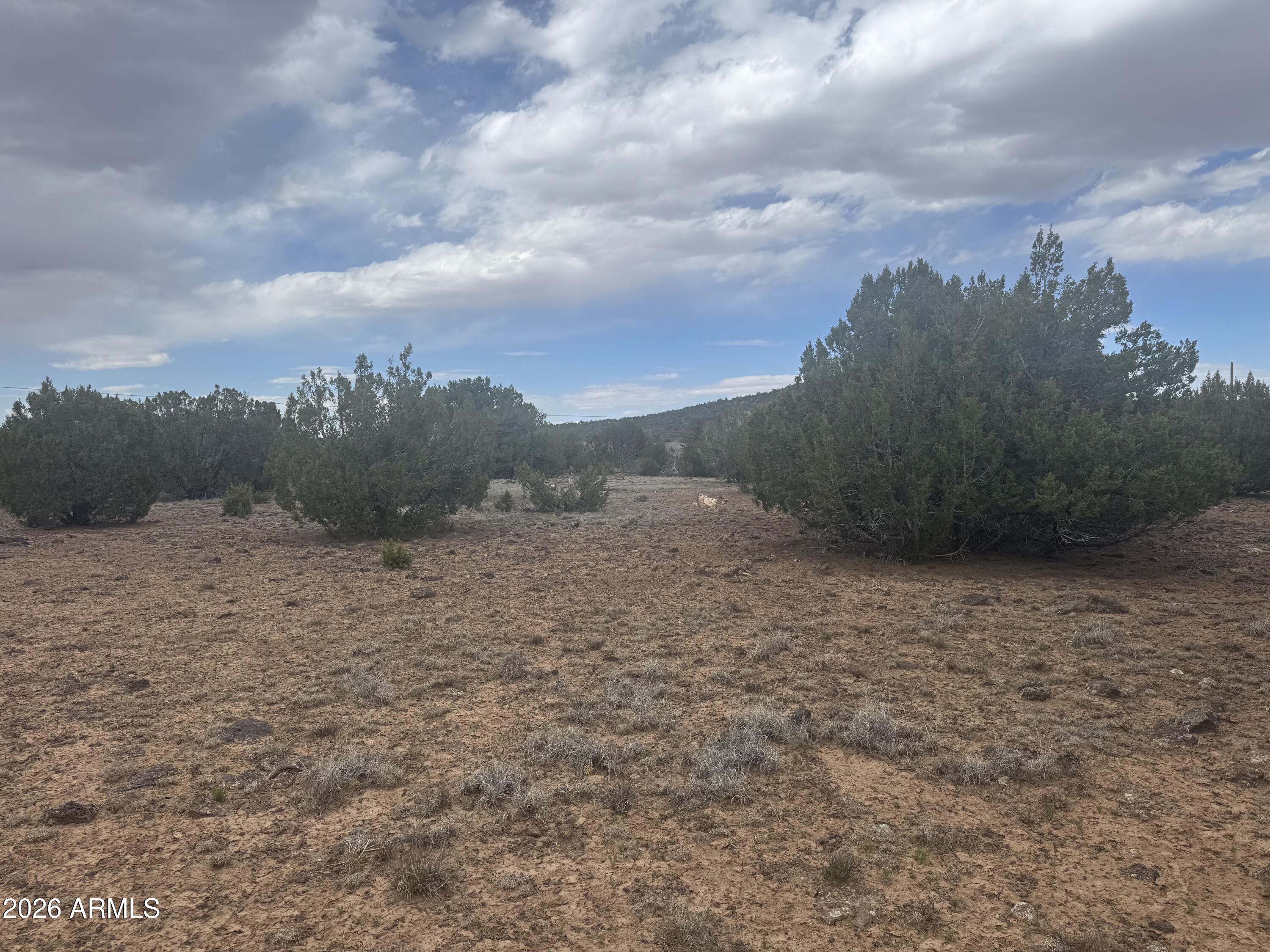 SHOW LOW PINES UNIT 1 - Land