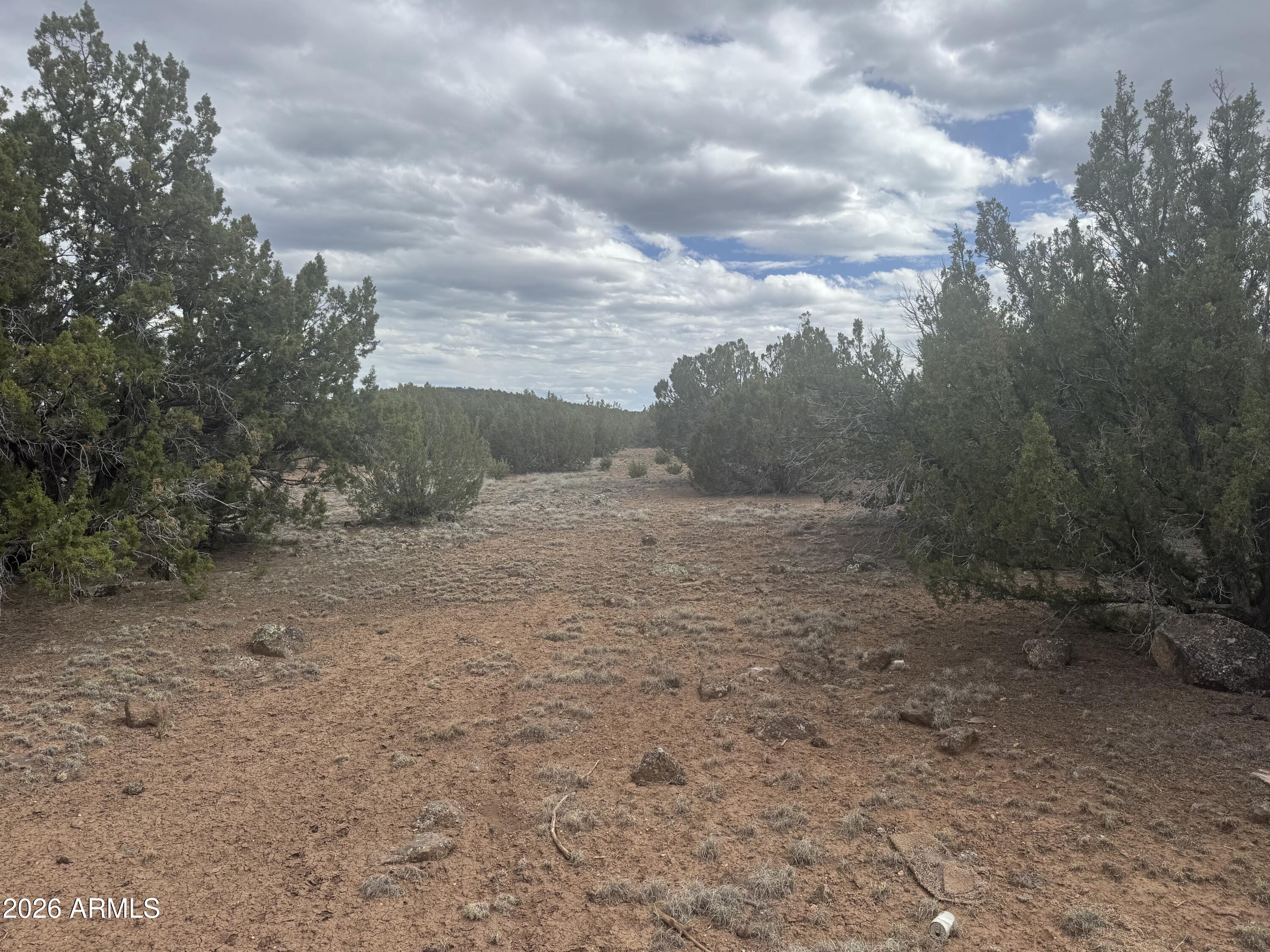 SHOW LOW PINES UNIT 1 - Land