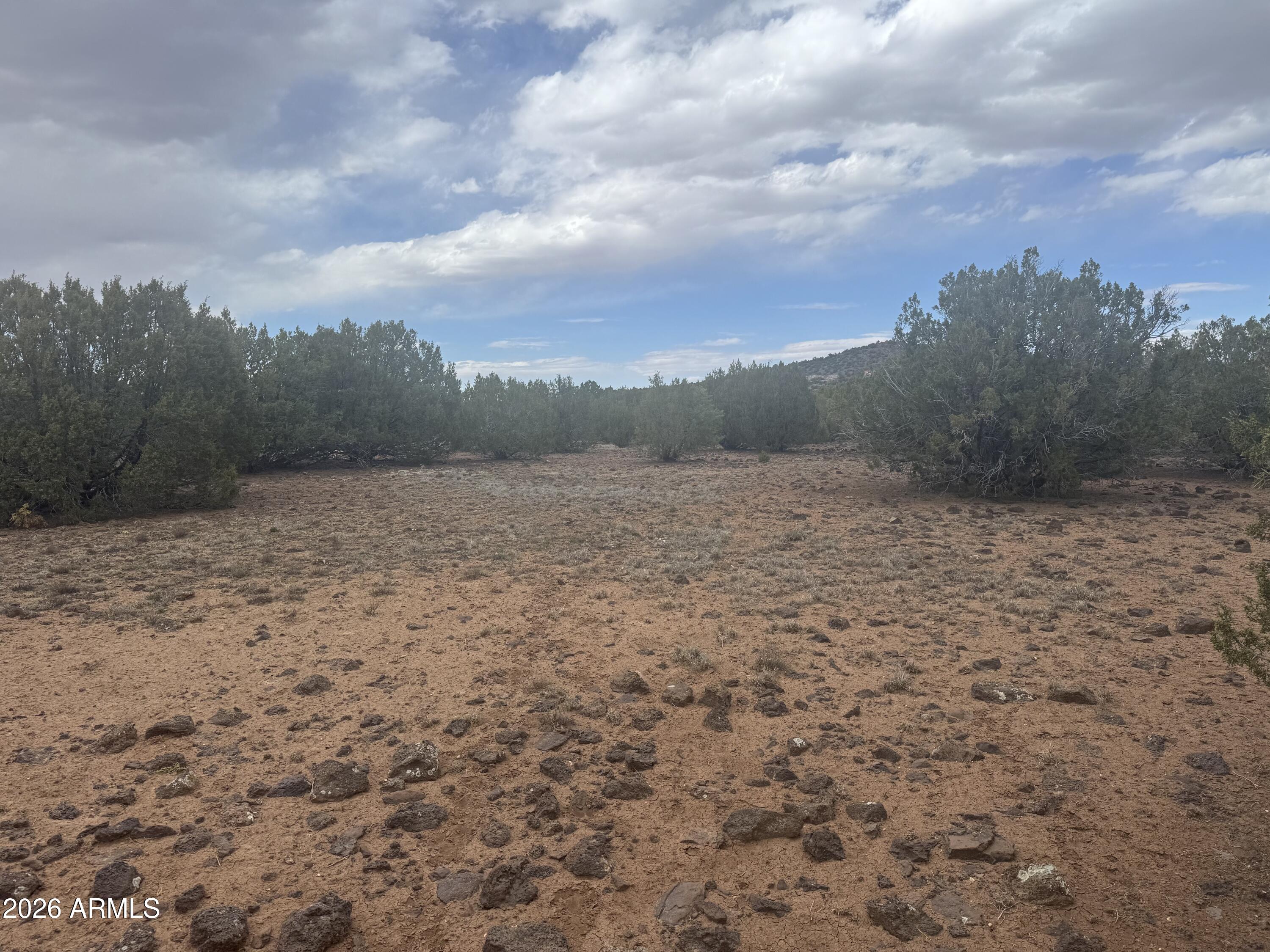 SHOW LOW PINES UNIT 1 - Land