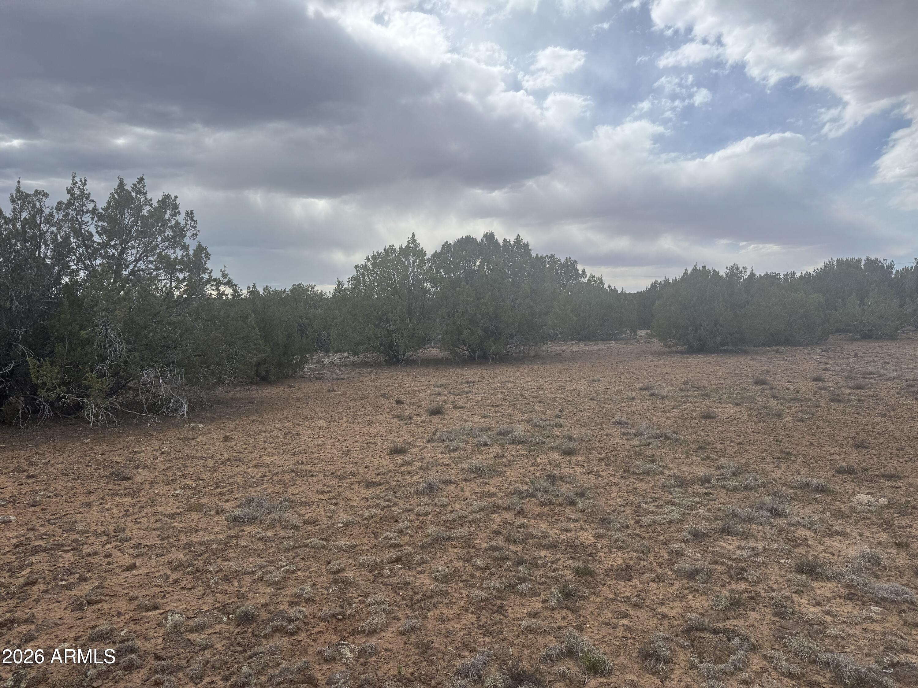 SHOW LOW PINES UNIT 1 - Land