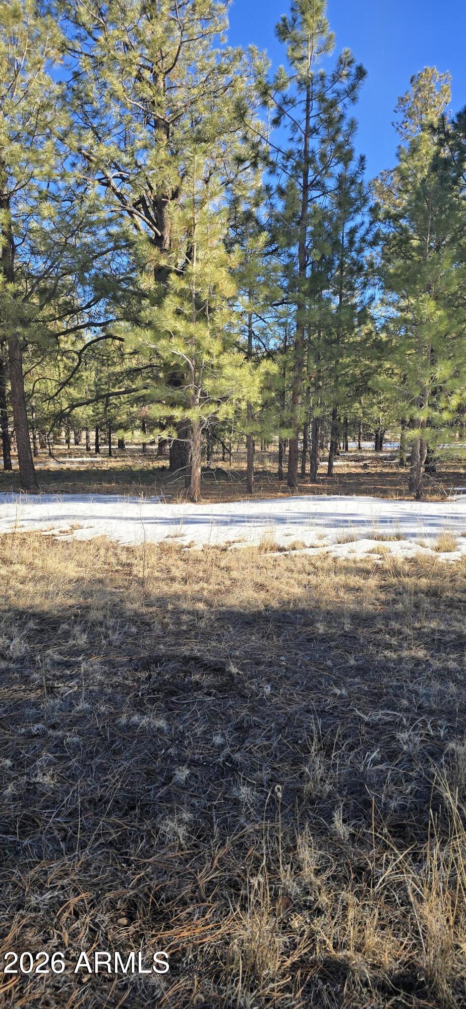 The Club at Hidden Meadow Ranch - Land