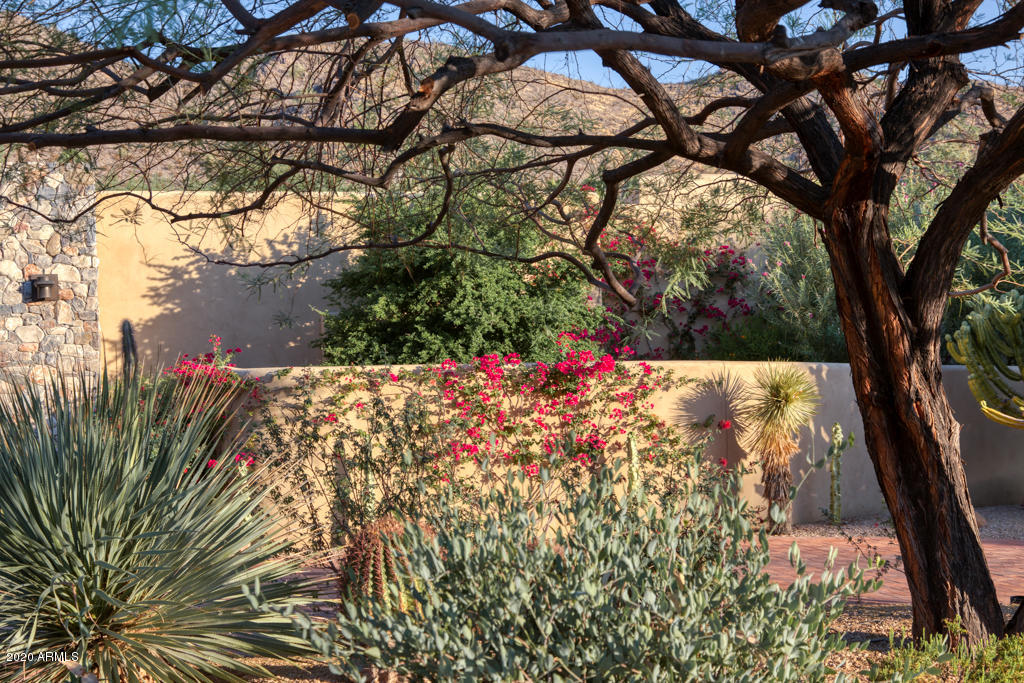 Tatum Canyon - Residential