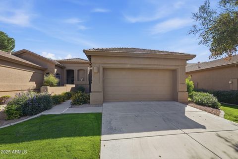 9635 E ROCKY LAKE Drive Sun Lakes AZ 85248