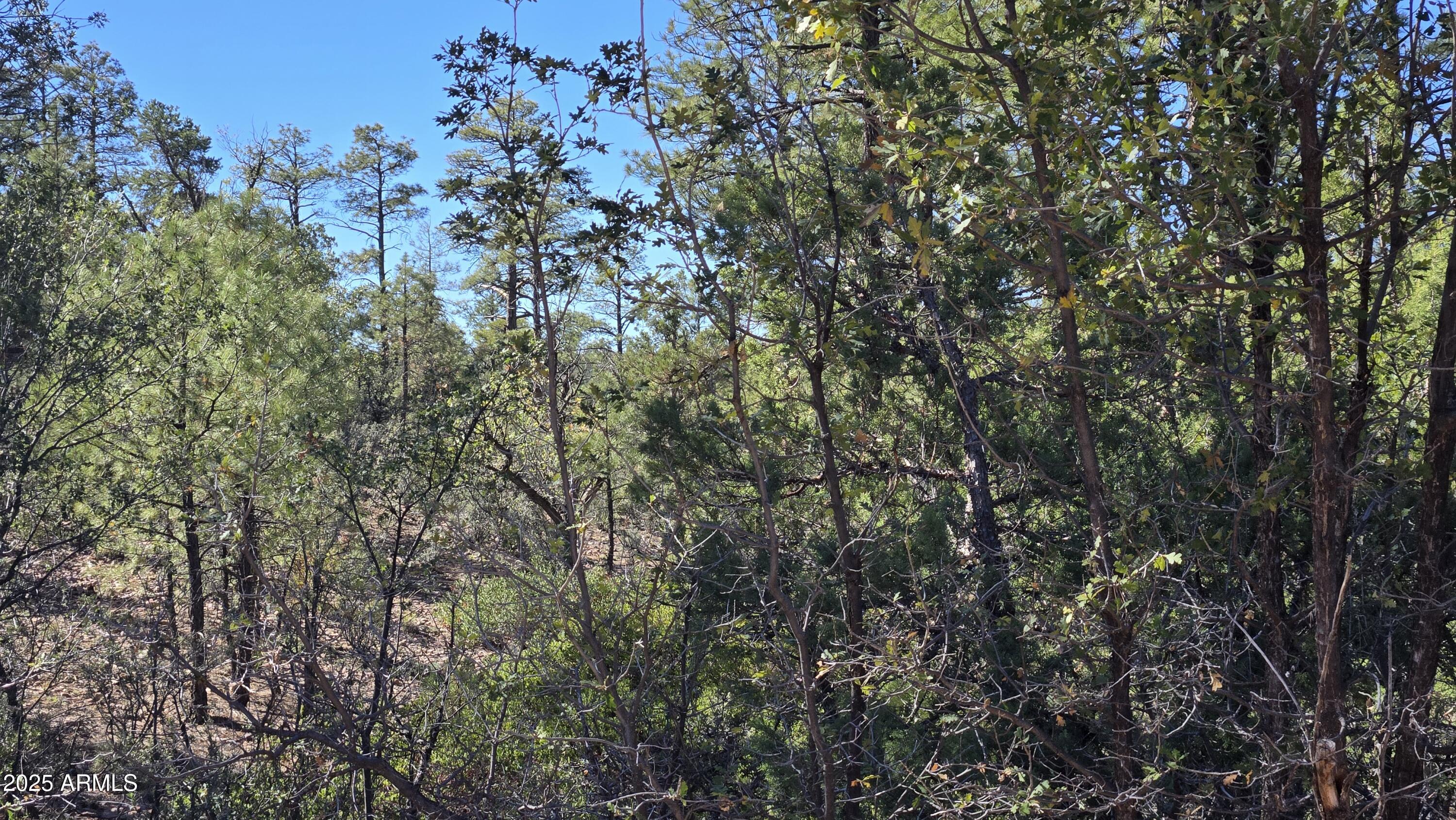 440 E Stoneridge Circle E 375