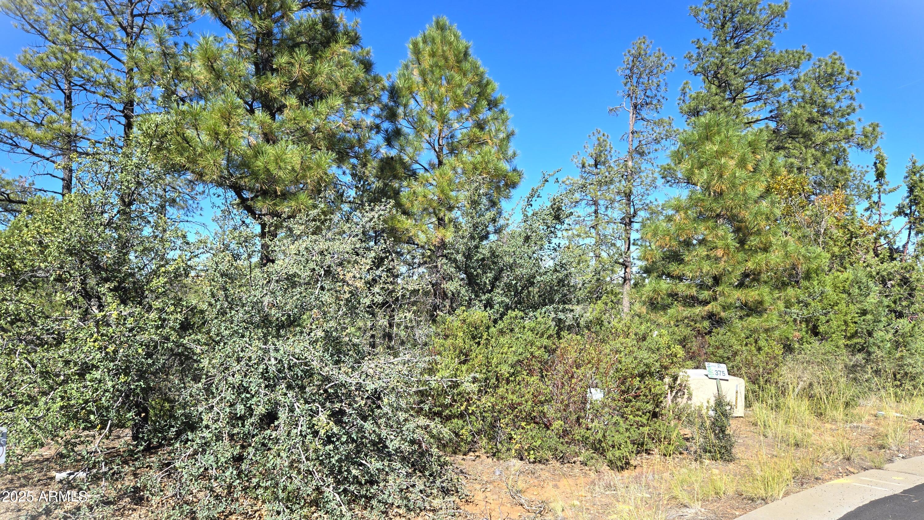 Sierra Pines - Land