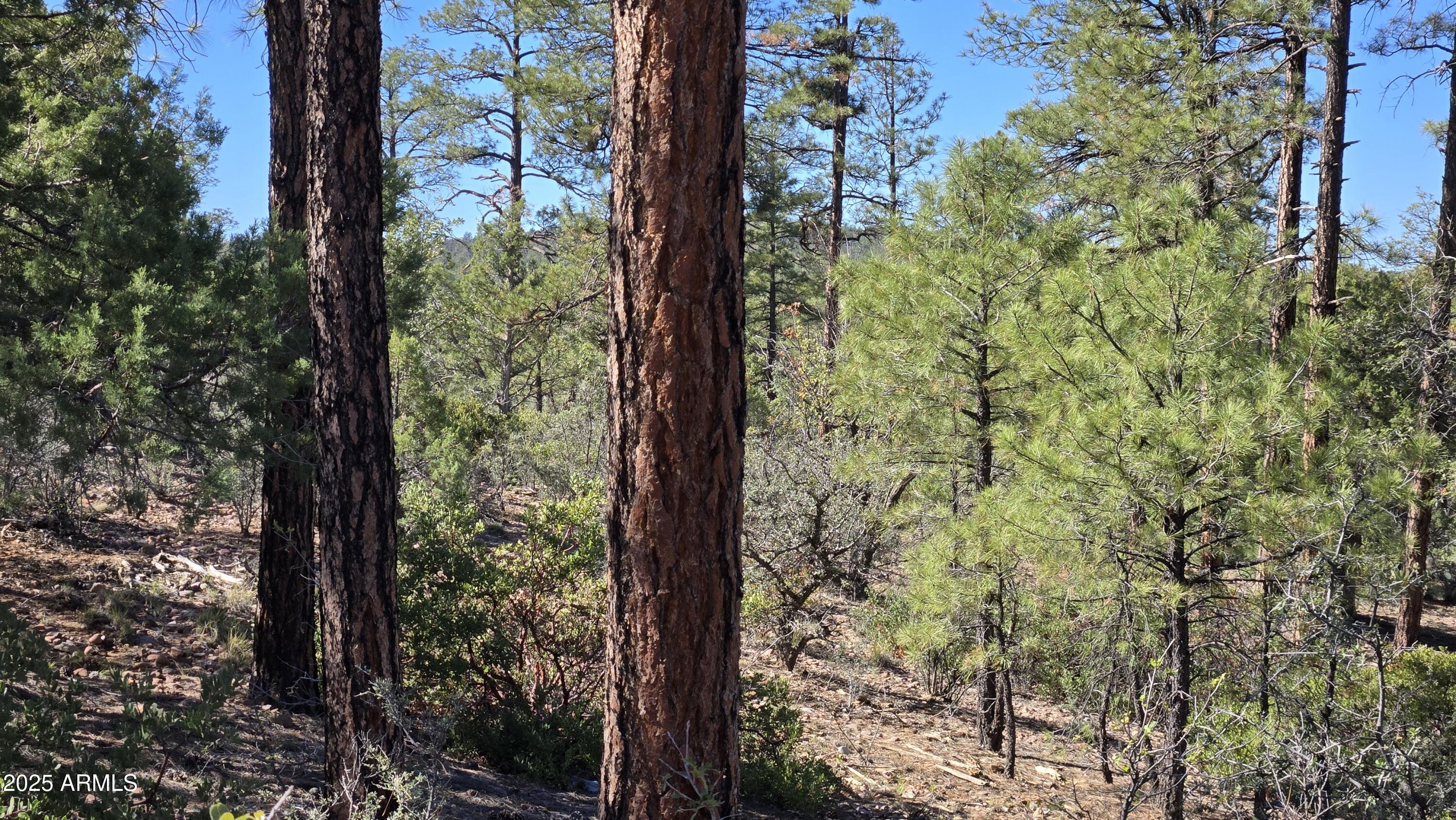 440 E Stoneridge Circle E 375