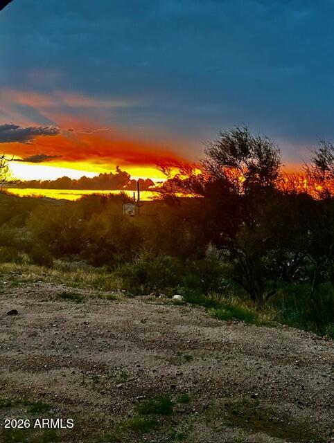 428 E HEMINGWAY Lane 20