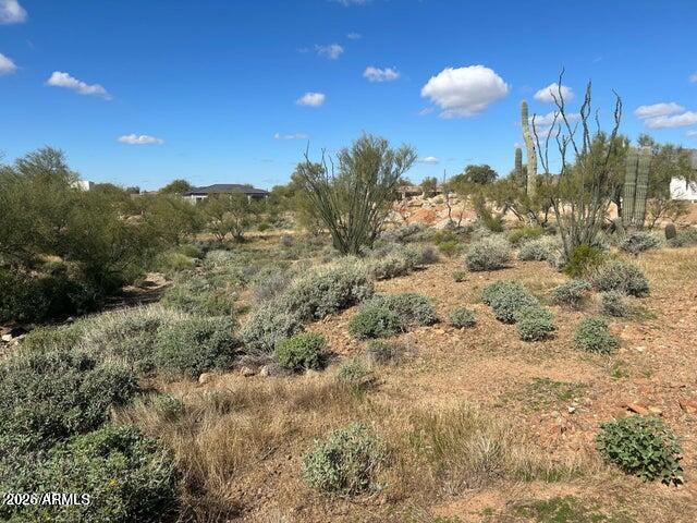 428 E HEMINGWAY Lane 20