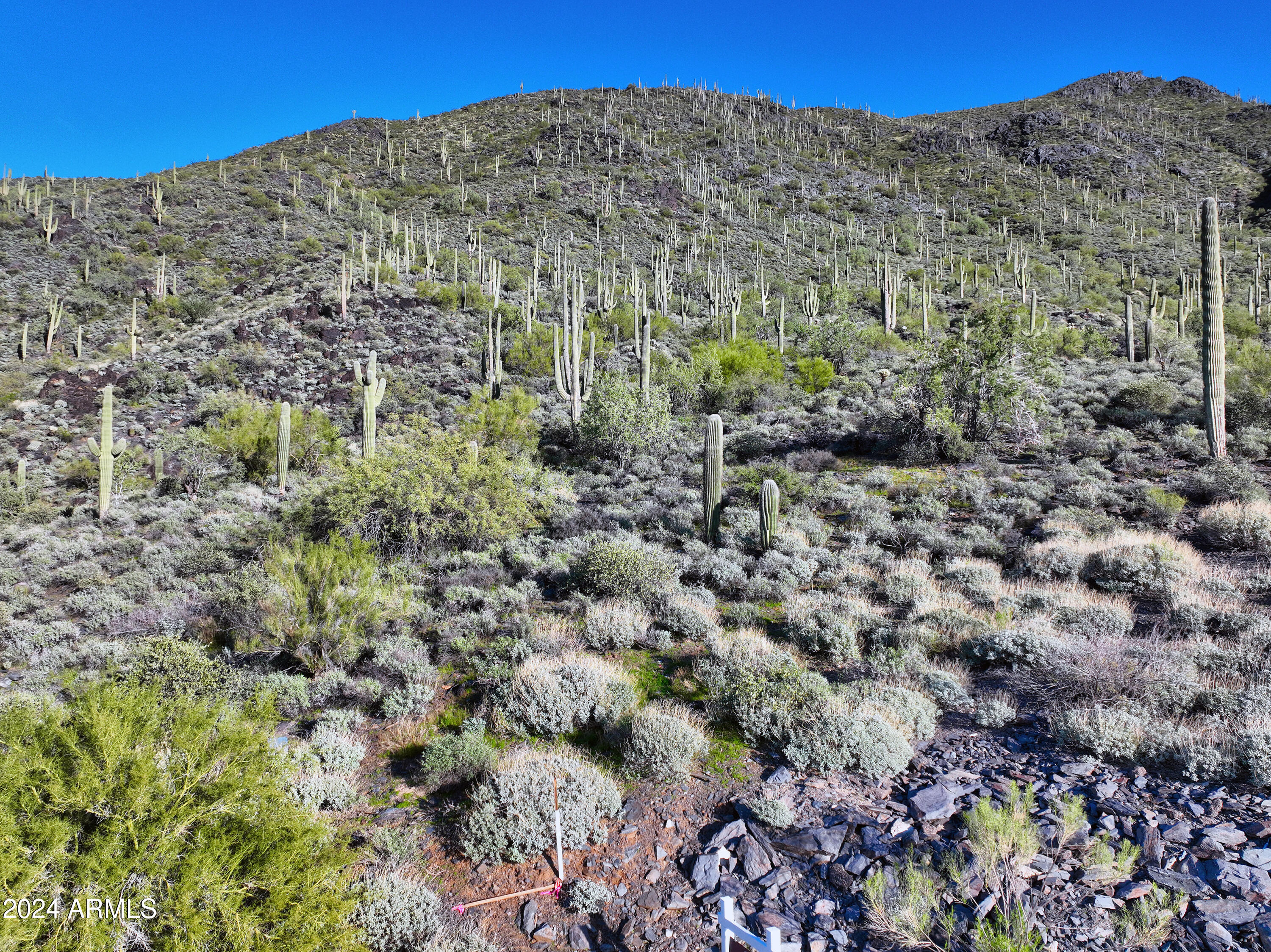 Cave Creek, Arizona 85331, United States, ,Land,Pending,243097