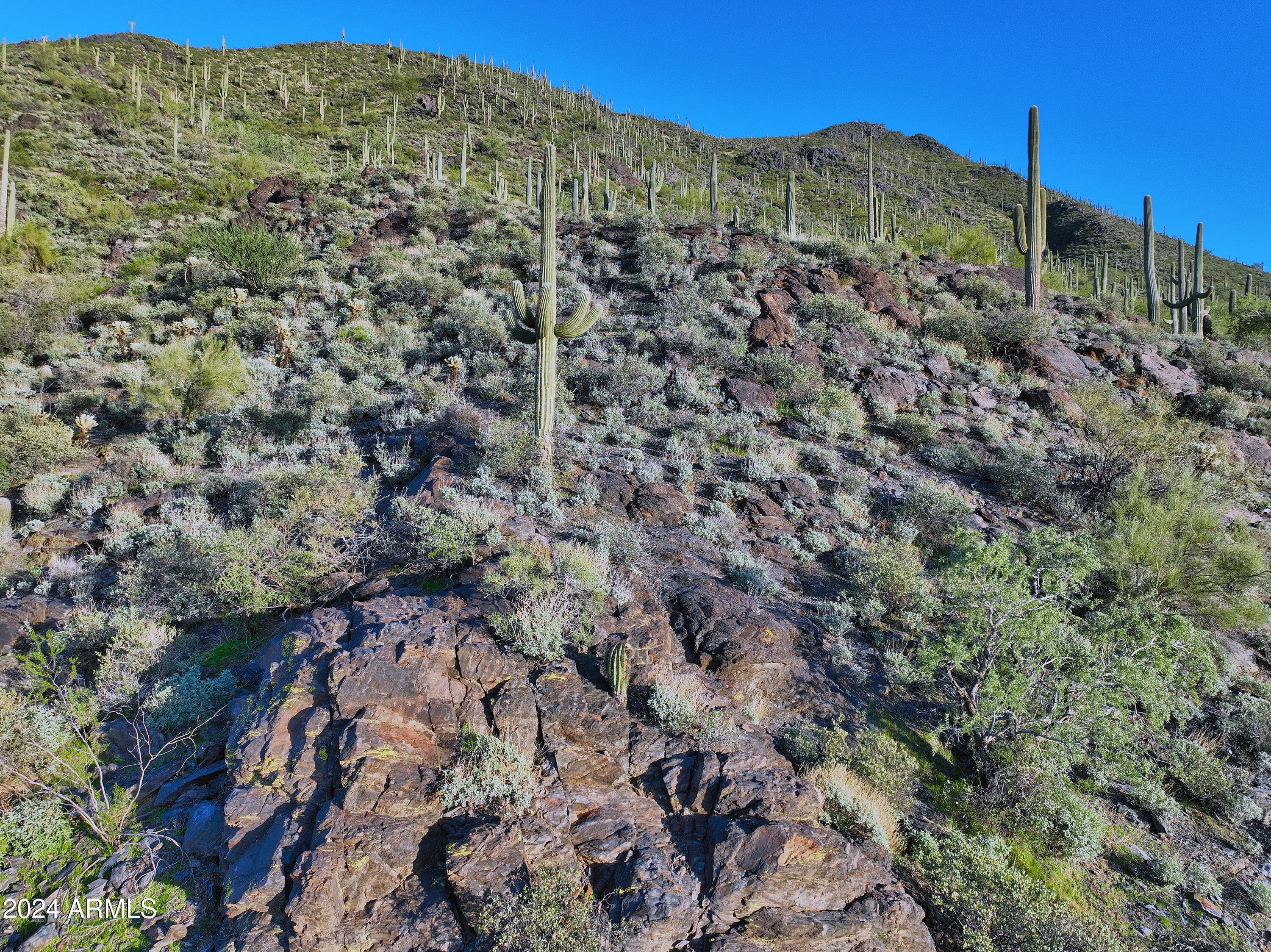 Cave Creek, Arizona 85331, United States, ,Land,Pending,243097