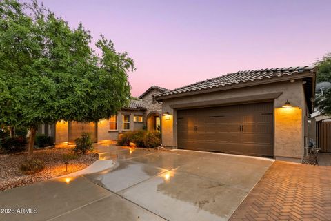 2445 W WILDHORSE Drive Chandler AZ 85286