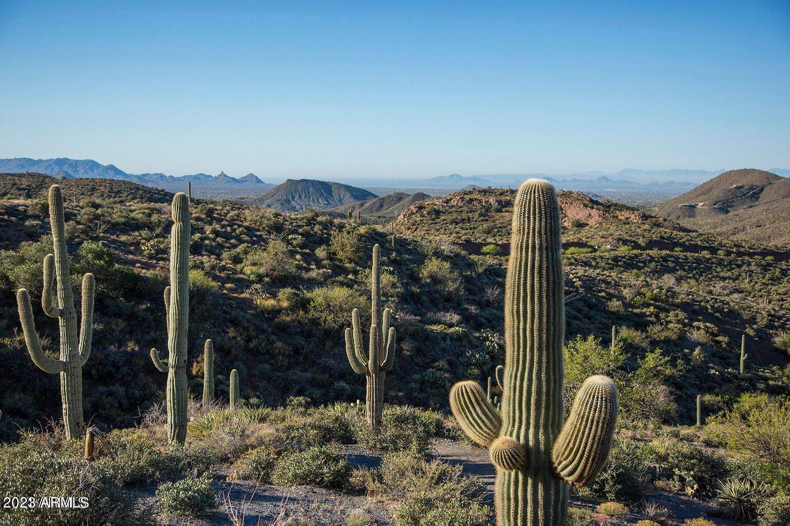DESERT MOUNTAIN PHASE 2 UNIT 10 LOT 110A - Residential