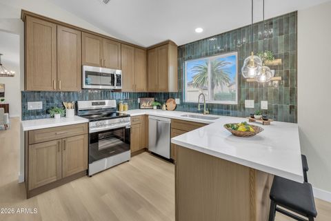 3109 E KERRY Lane Phoenix AZ 85050