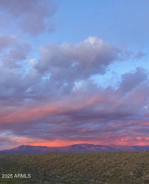 14417 N WHITE FACE CANYON Drive 15