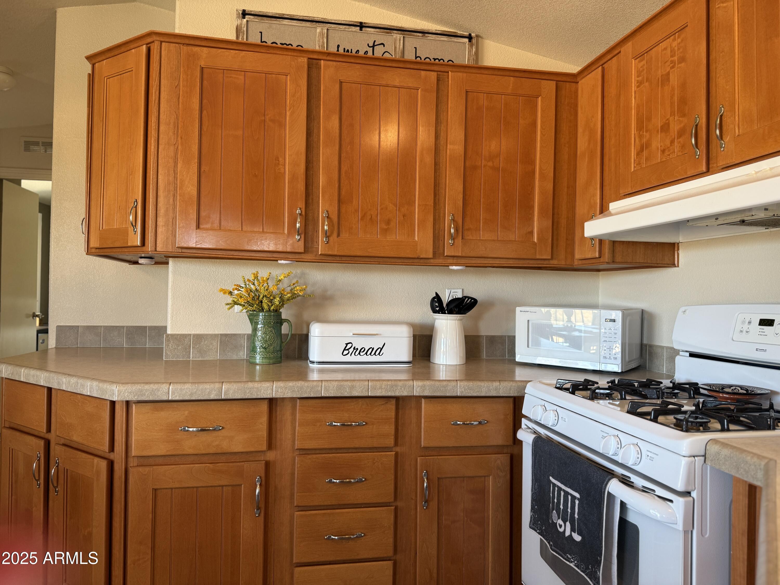 21190 W OBSIDIAN Drive 203