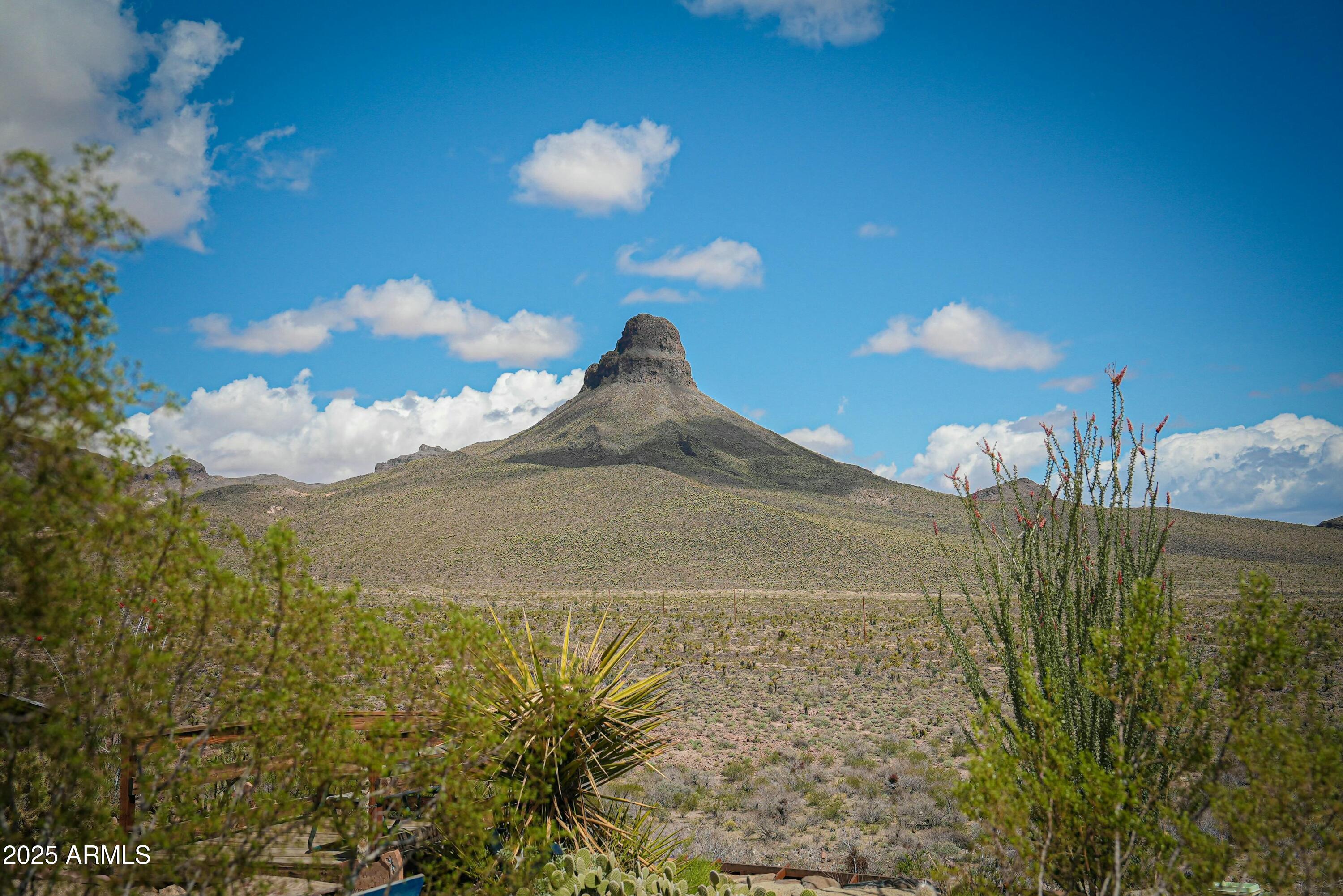 - W Oatman Highway -- -