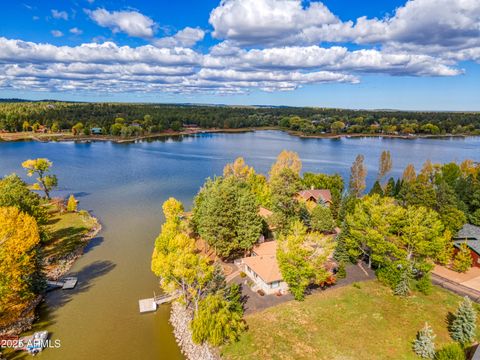 2457 Dragonfly Lane Pinetop-Lakeside AZ 85929