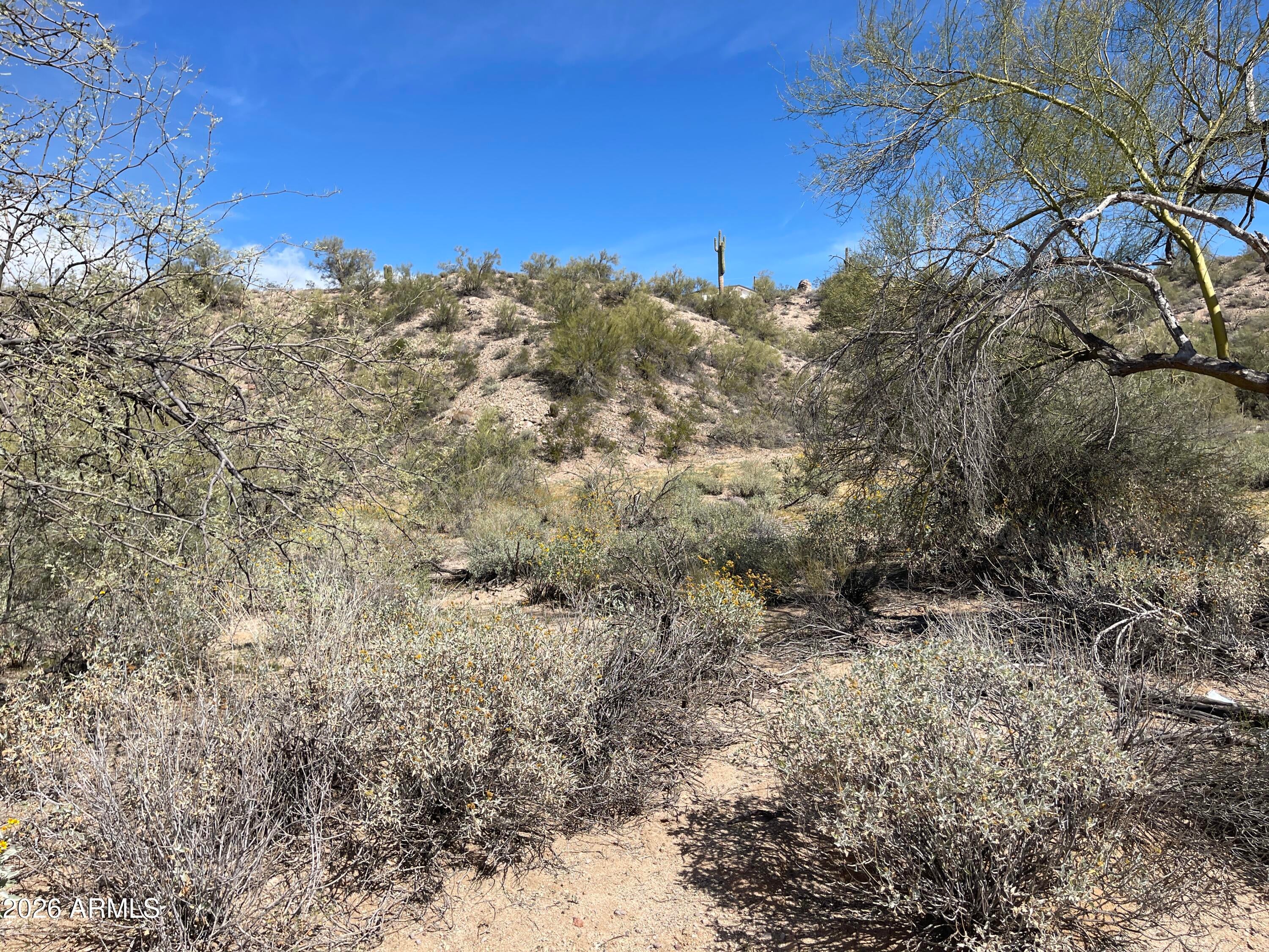 41XX3 N 276th Avenue Lot 3