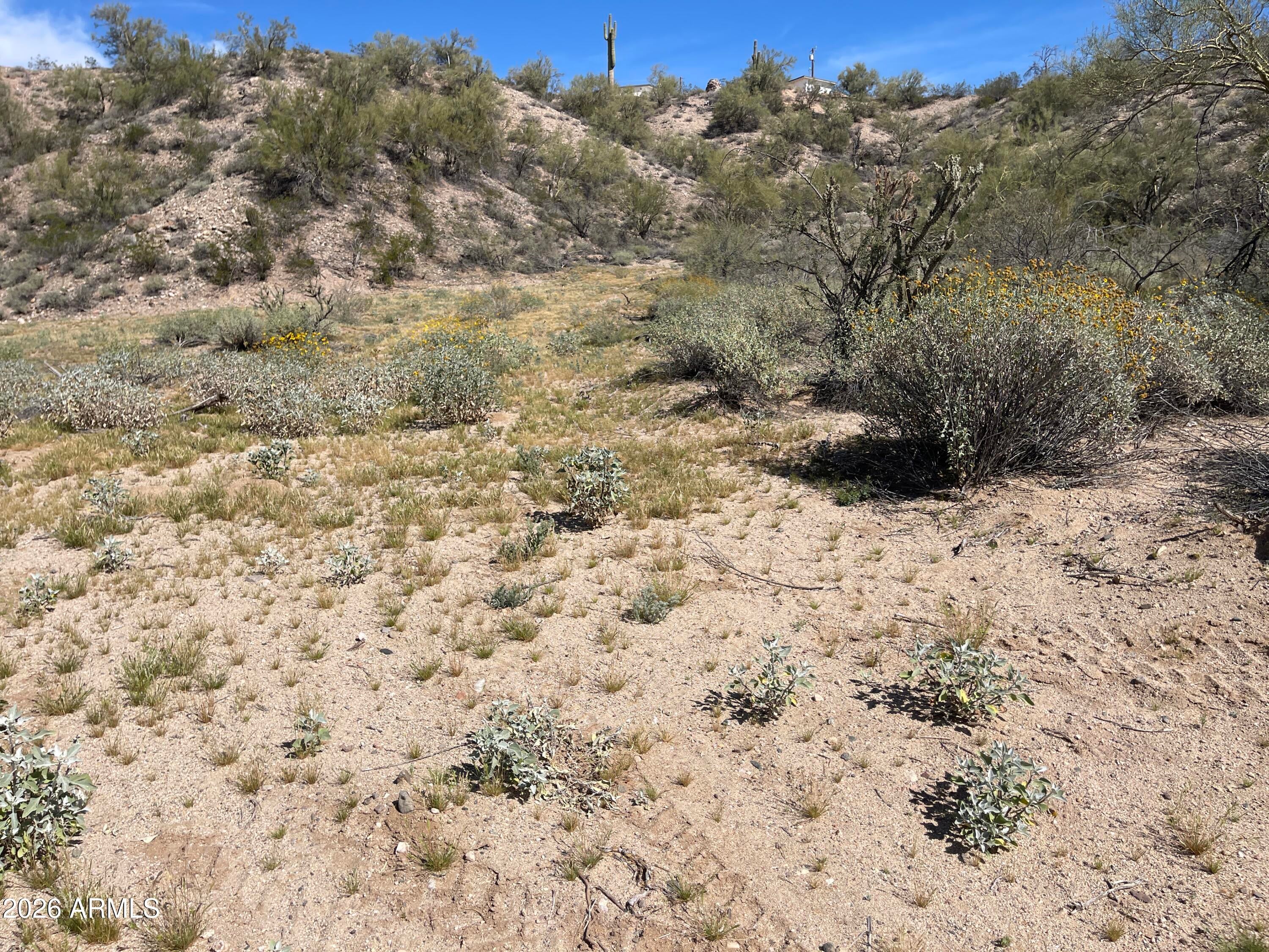 41XX3 N 276th Avenue Lot 3