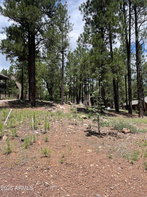 4740 W BRAIDED REIN -- 24 Flagstaff AZ 86005