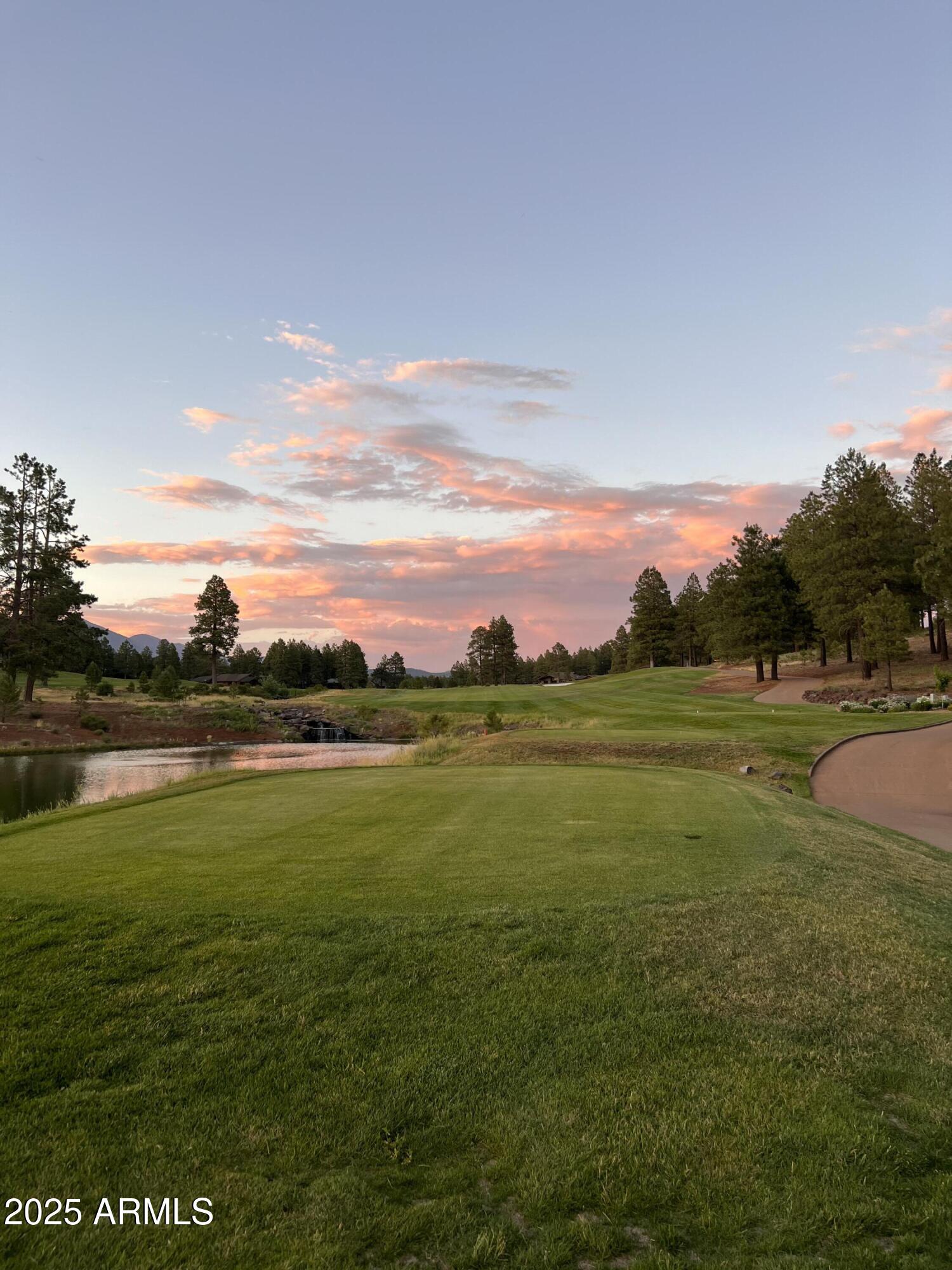 4740 W BRAIDED REIN -- 24