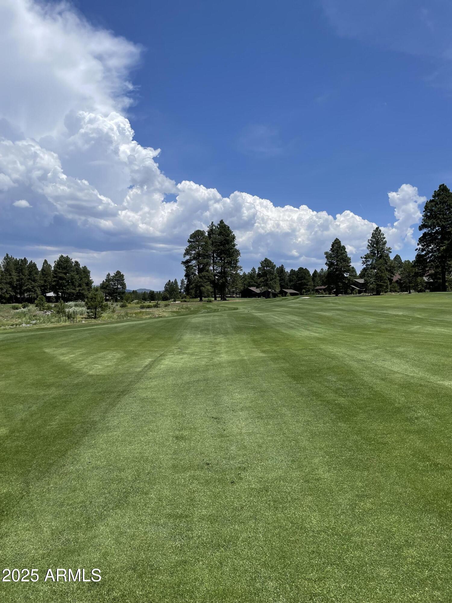 4740 W BRAIDED REIN -- 24