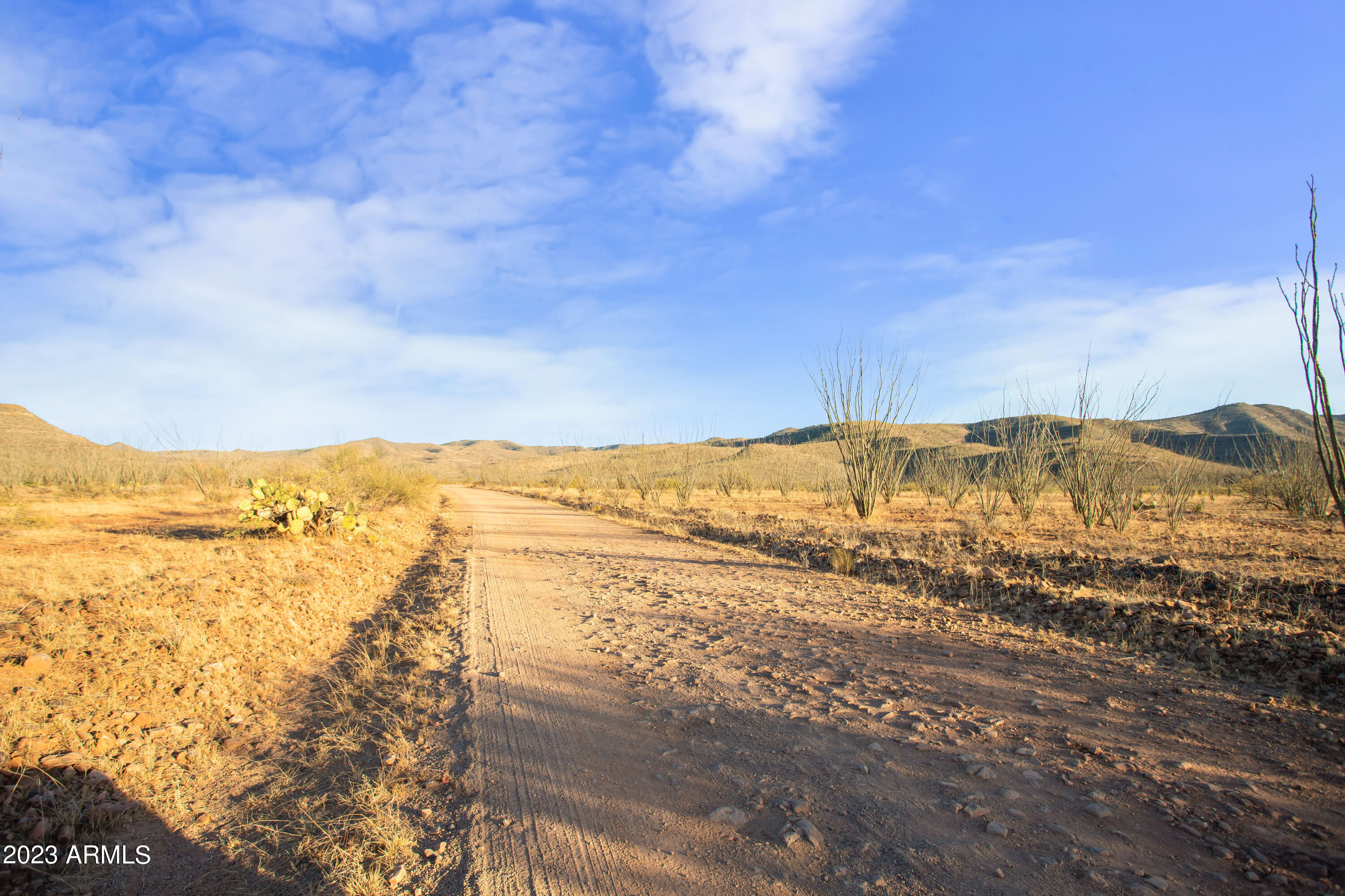 MULE MOUNTAIN RANCHES - Land