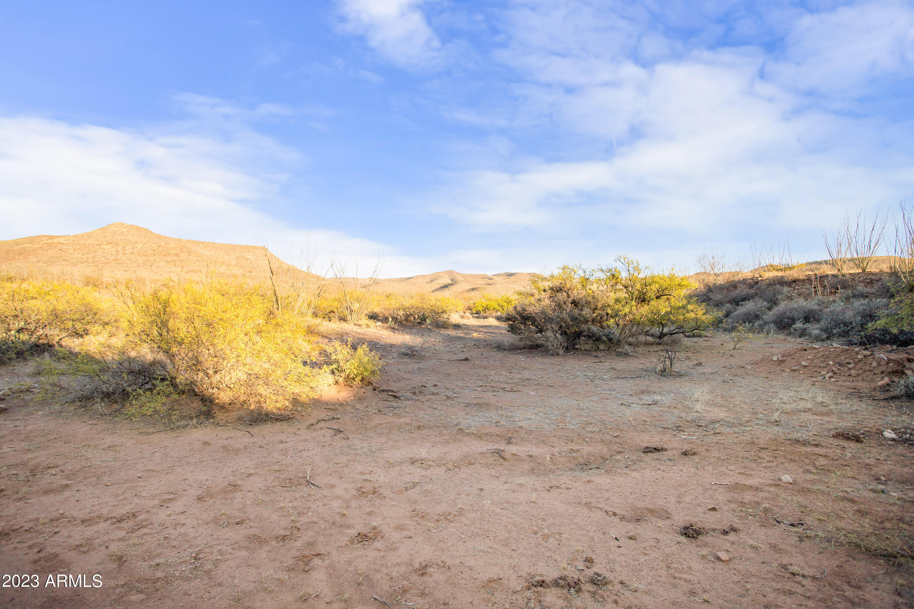 MULE MOUNTAIN RANCHES - Land