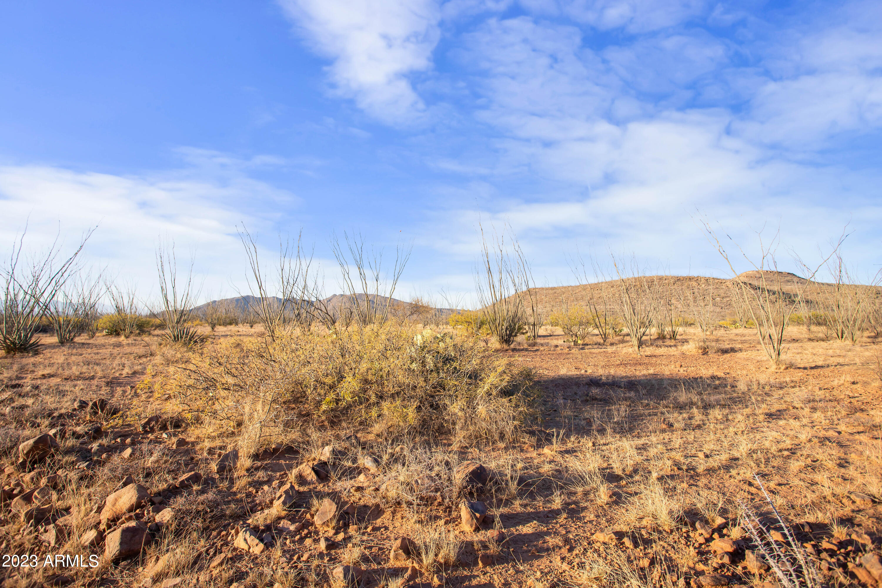 MULE MOUNTAIN RANCHES - Land