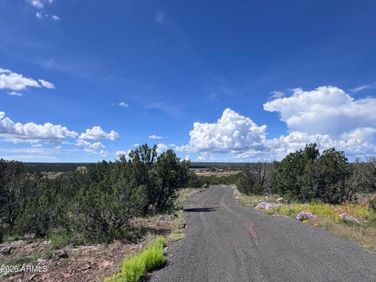 1939 BOURDON RANCH RD, SHOW LOW, AZ 85901 - Image 3949d9d5fc5d9087a160c52e2ebd8563/2107721025
