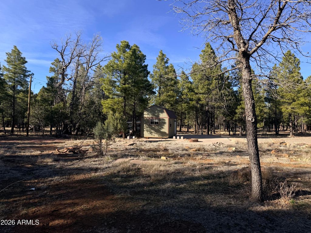 Photo of 1306 Green Top Drive #40, Happy Jack, AZ 86024 (MLS # 7000631)