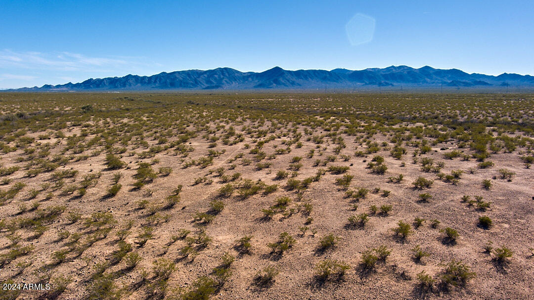 24300 W Buckskin Trail ' - '