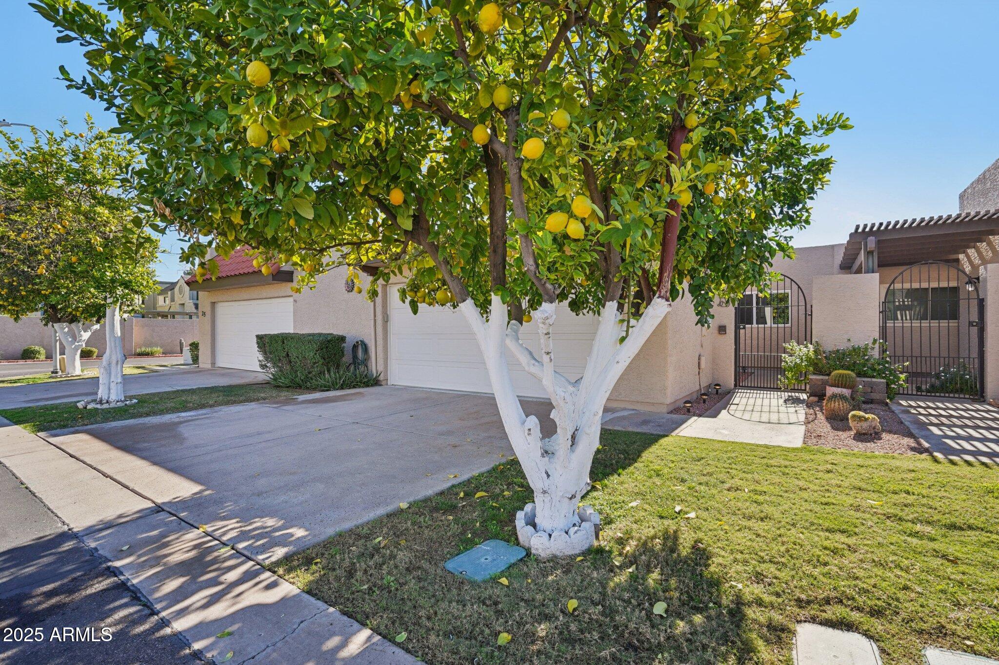 3345 E UNIVERSITY Drive 24