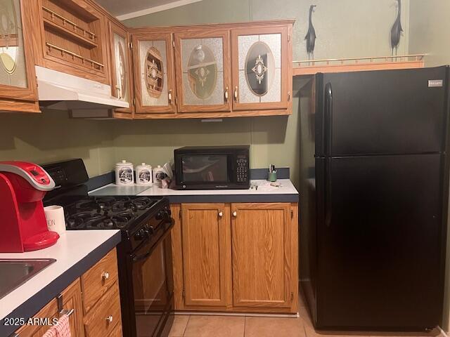 301 S SIGNAL BUTTE Road 233